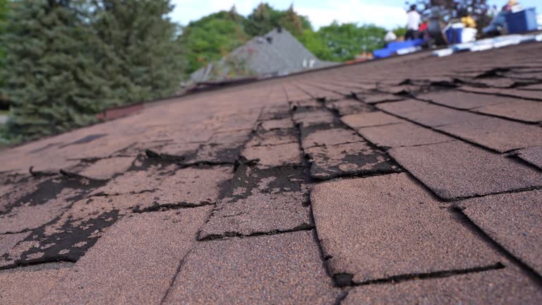 Best Roof Insulation Installation  in Mount Union, PA
